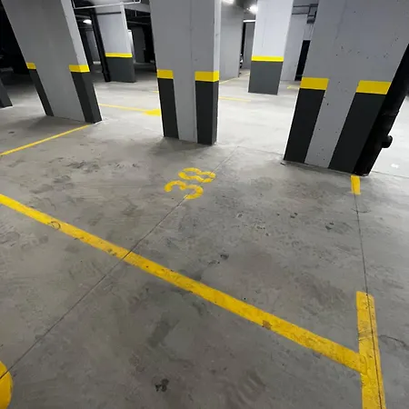 The New Wild Sa Garaznim Mjestom